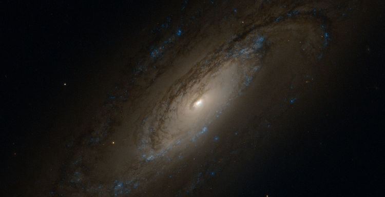 NGC 5005 NGC 5005 Wikipedia wolna encyklopedia