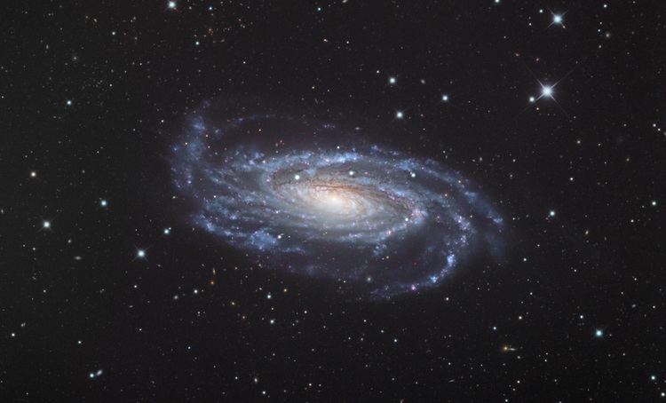 NGC 5033 5033 Galaxy