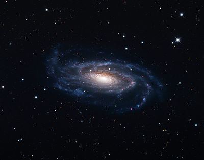 NGC 5033 NGC 5033 Wikipedia