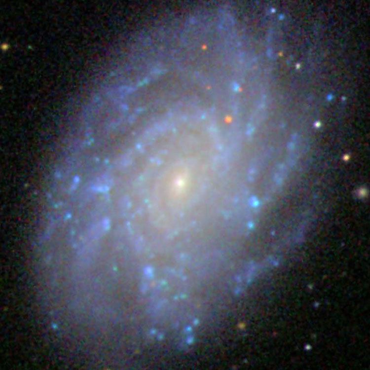 NGC 5300 cseligmancomtextatlasngc5300jpg