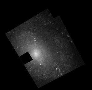 NGC 5585 httpsuploadwikimediaorgwikipediacommonsthu