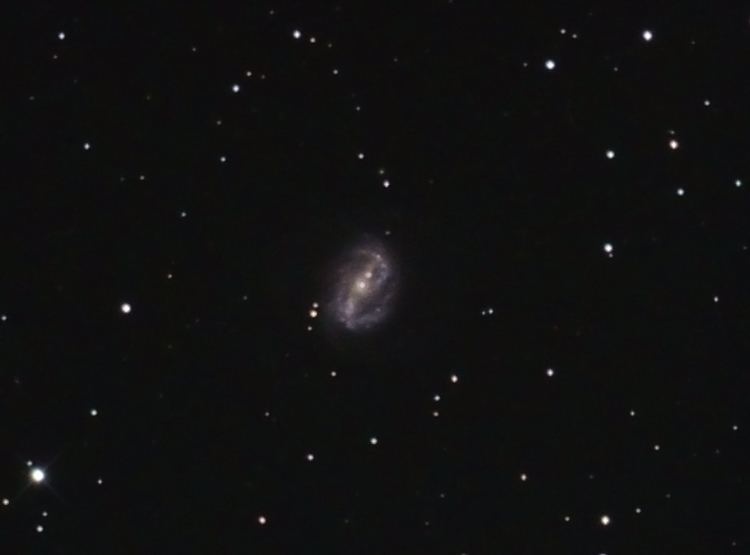 NGC 6217 NGC 6217 Beginning and Intermediate Imaging Cloudy Nights