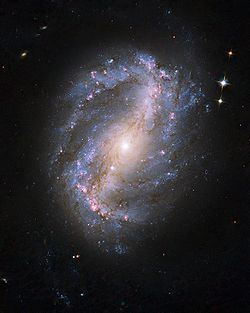 NGC 6217 NGC 6217 Wikipedia