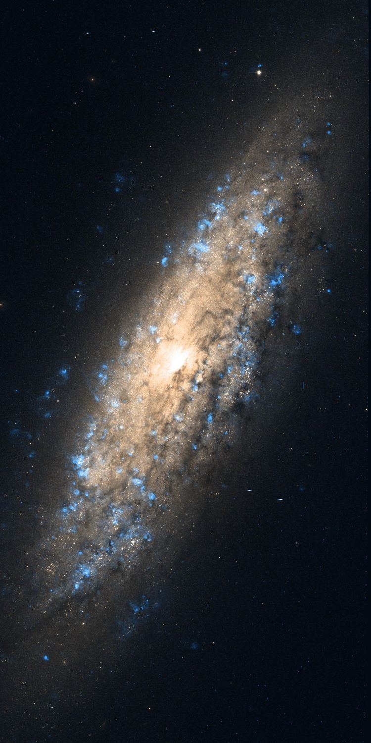 NGC 6503 FileNGC 6503 Hubble WikiSkyjpg Wikimedia Commons