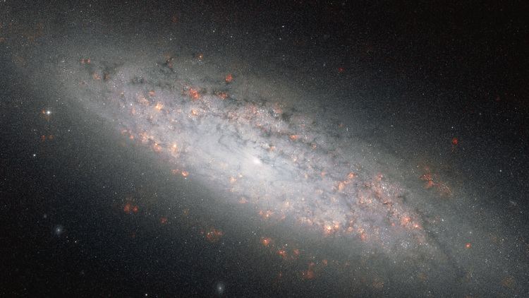 NGC 6503 At the edge of the abyss ESAHubble