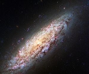 NGC 6503 httpsuploadwikimediaorgwikipediacommonsthu