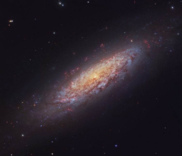 NGC 6503 Anne39s Image of the Day Dwarf Spiral Galaxy NGC 6503 Anne39s