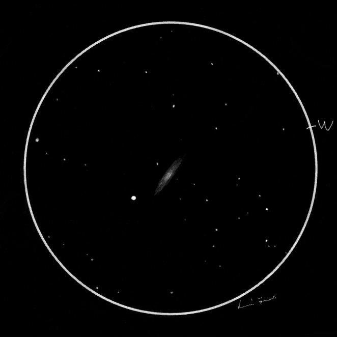 NGC 6503 Graphite Galaxy NGC 6503