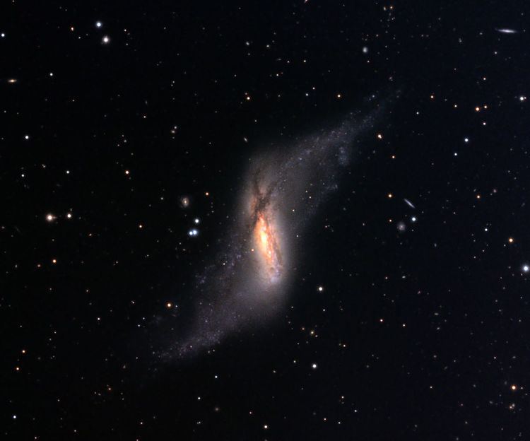 NGC 660 NGC 660 Wikipedia
