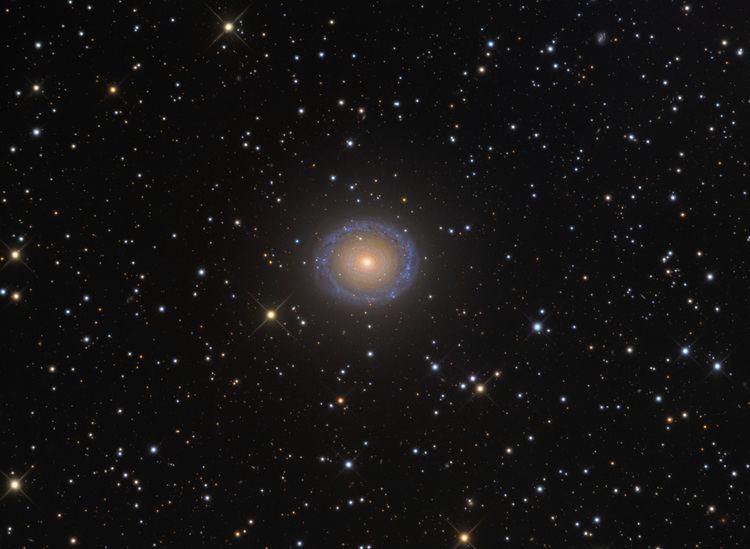 NGC 7217 NGC 7217 Mt Lemmon SkyCenter