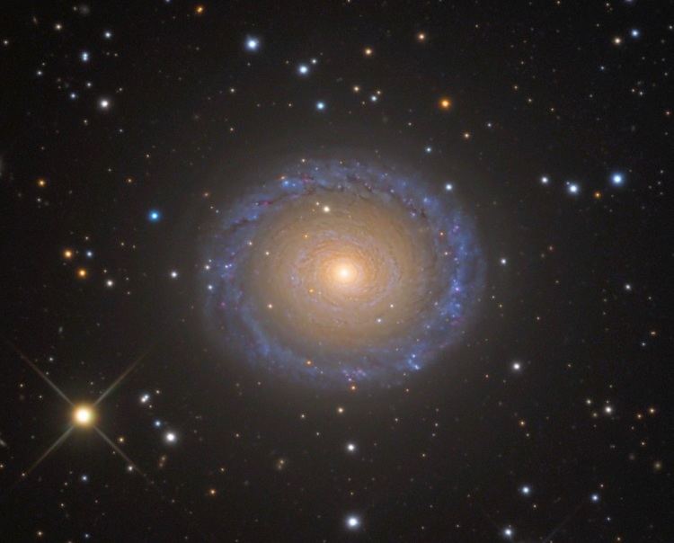 NGC 7217 Anne39s Image of the Day Spiral Galaxy NGC 7217 Anne39s Astronomy News