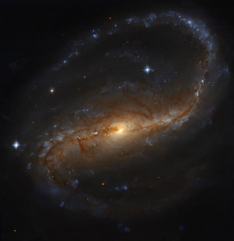 NGC 7479 NGC7479HSTGendlerM