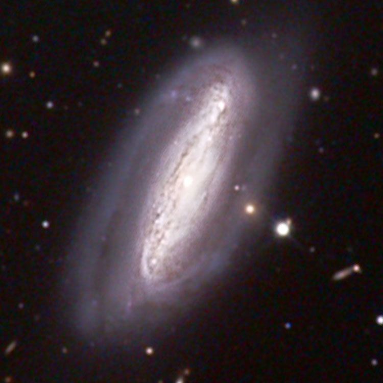 NGC 7582 cseligmancomtextatlasngc7582jpg