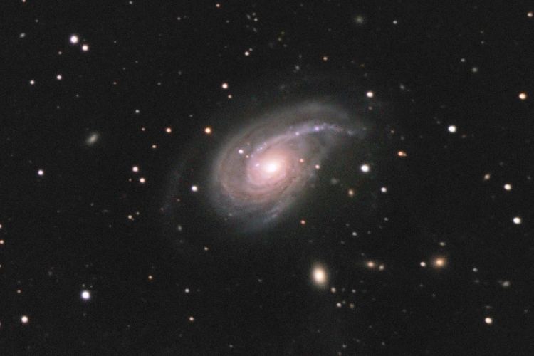 NGC 772 NGC 772
