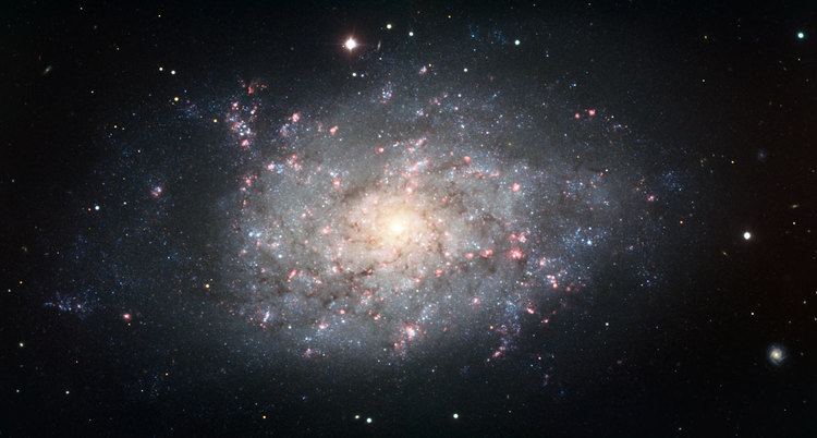 NGC 7793 Spiral galaxy NGC 7793 ESO