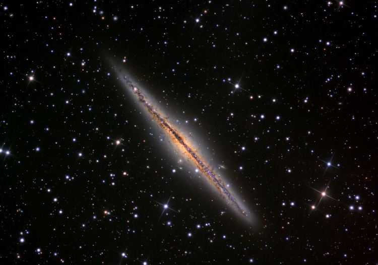 NGC 891 Webb DeepSky Society Galaxy of the Month NGC891
