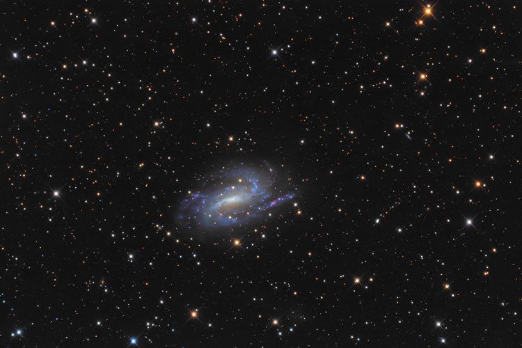 NGC 925 NGC 925 Galaxy