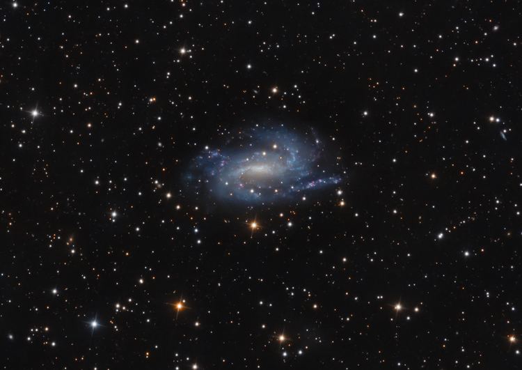 NGC 925 NGC 925