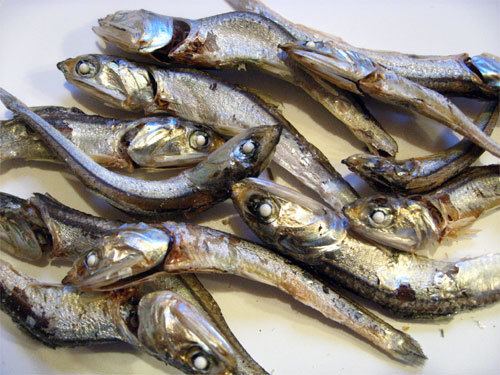 Niboshi Niboshi Dashi dried sardine broth Tess39s Japanese Kitchen