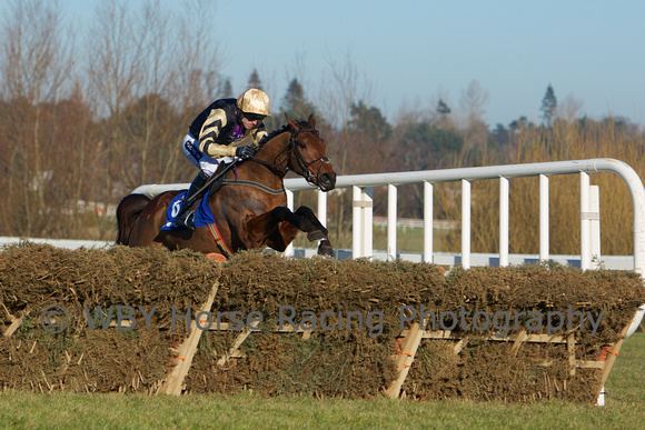 Nichols Canyon (horse) WBY Horse Racing Photography Leopardstown 080215 Hennessy Gold