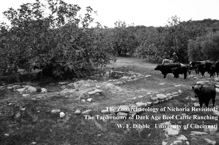 Nichoria The Zooarchaeology of Nichoria Revisited The Taphonomy of Dark Age