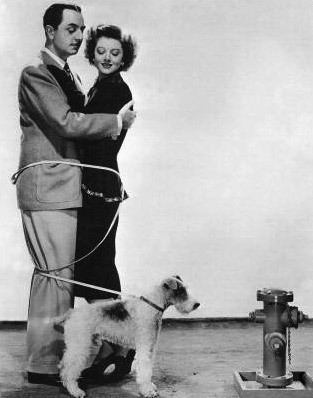 Nick and Nora Charles The Thin Man Film TV Tropes