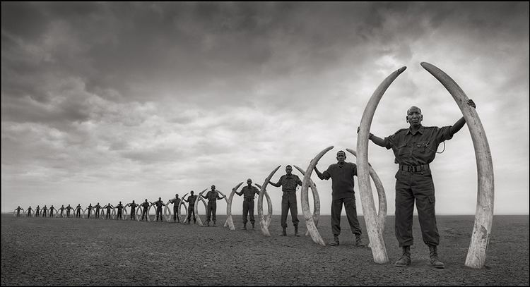 Nick Brandt On This Earth A Shadow Falls Across The Ravaged Land