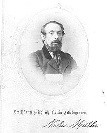 Niclas Müller httpsuploadwikimediaorgwikipediacommonsthu