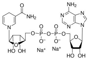 Nicotinamide adenine dinucleotide Nicotinamide adenine dinucleotide reduced disodium salt 98 pkg
