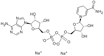 Nicotinamide adenine dinucleotide betaNicotinamide adenine dinucleotide disodium salt 606688