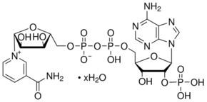 Nicotinamide adenine dinucleotide phosphate Nicotinamide adenine dinucleotide phosphate hydrate SigmaAldrich