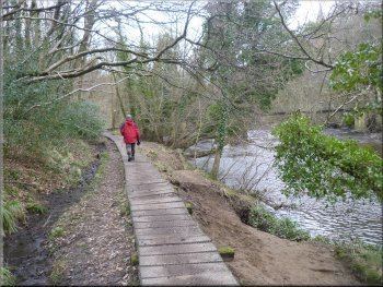 Nidd Gorge Yorkshire Walks My Walking Diary route no 501