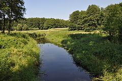 Niemica (river) httpsuploadwikimediaorgwikipediacommonsthu