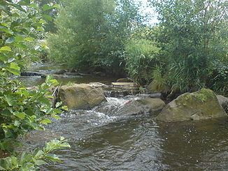 Nieste (river) httpsuploadwikimediaorgwikipediacommonsthu