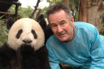 Nigel Marven Panda Adventure with Nigel Marven Programs Animal