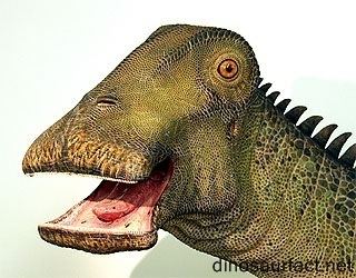 Nigersaurus close-up side view