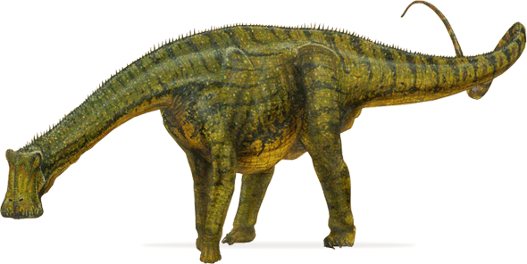 Nigersaurus dinosaur