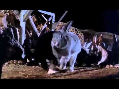 Night of the Lepus Night of the Lepus 1972 Soundtrack by Jimmie Haskell YouTube