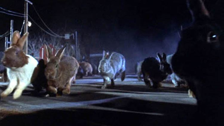 Night of the Lepus Night of The Lepus your hare will stand on end