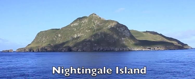 Nightingale Island Nightingale Island Nightingale English Course