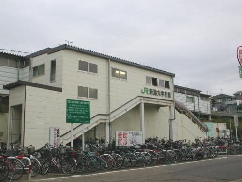 Niigata University Station