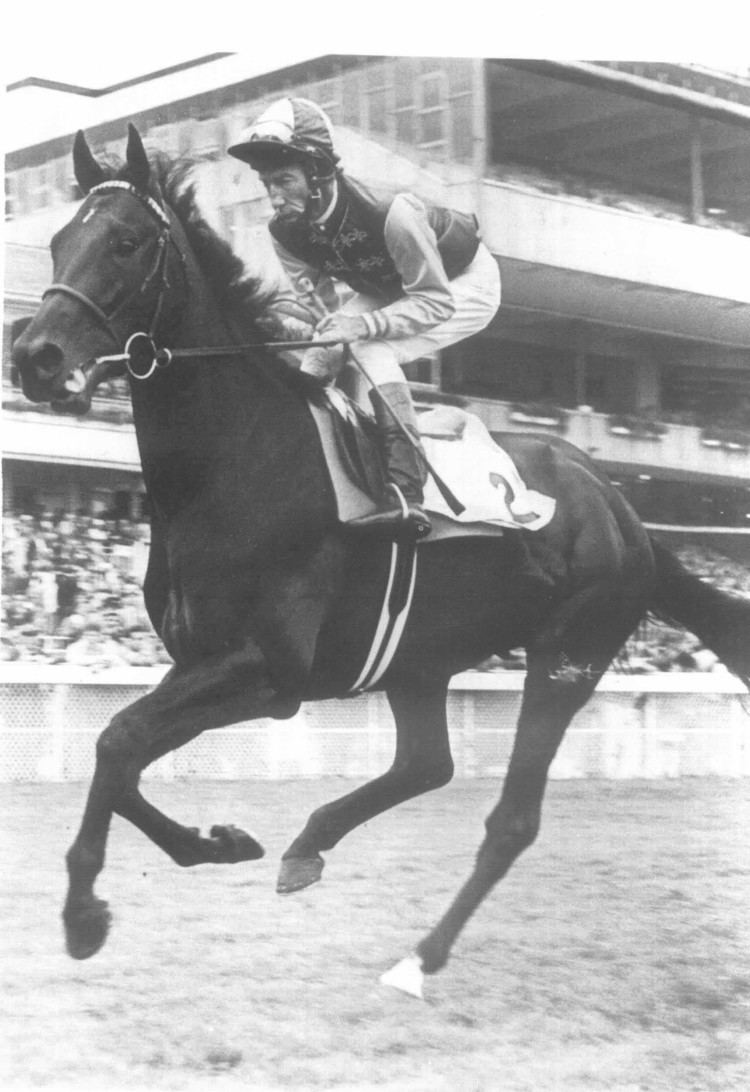 Nijinsky (horse) JockeySitecom