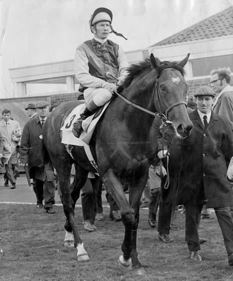Nijinsky (horse) NIJINSKY WHO WORE A HEART ON HIS BROW THE VAULT Horse racing