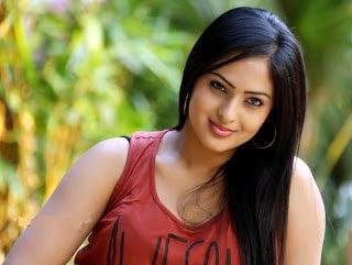 Nikesha Patel Nikesha Patel profile family wiki Age Affairs Biodata Height