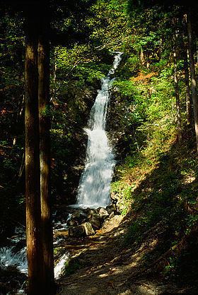 Nikko Botanical Garden httpsuploadwikimediaorgwikipediacommonsthu