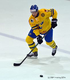 Niklas Hansson Niklas Hansson Eliteprospectscom