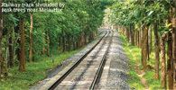 Nilambur–Shoranur railway line halokeralacomattachmentsImage909RailwayTrack