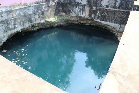 Nilavarai The well Picture of Nilavarai Bottomless Well Jaffna TripAdvisor