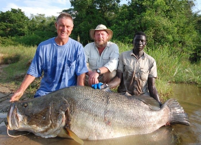 Nile perch Fishing for Nile Perch at Murchison Falls Uganda VentureCo