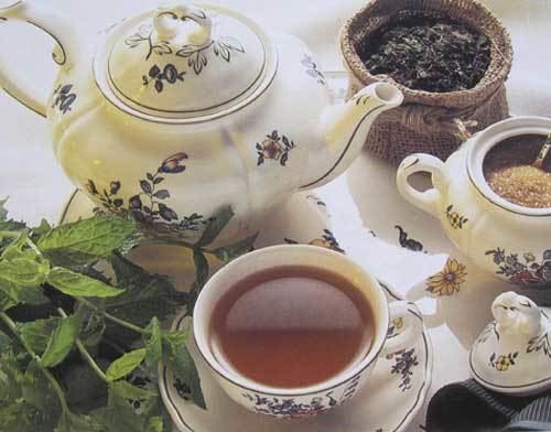 Nilgiri tea Nilgiri TeaNilgiri Black TeasNilgiri Herbal Tea Exporters From